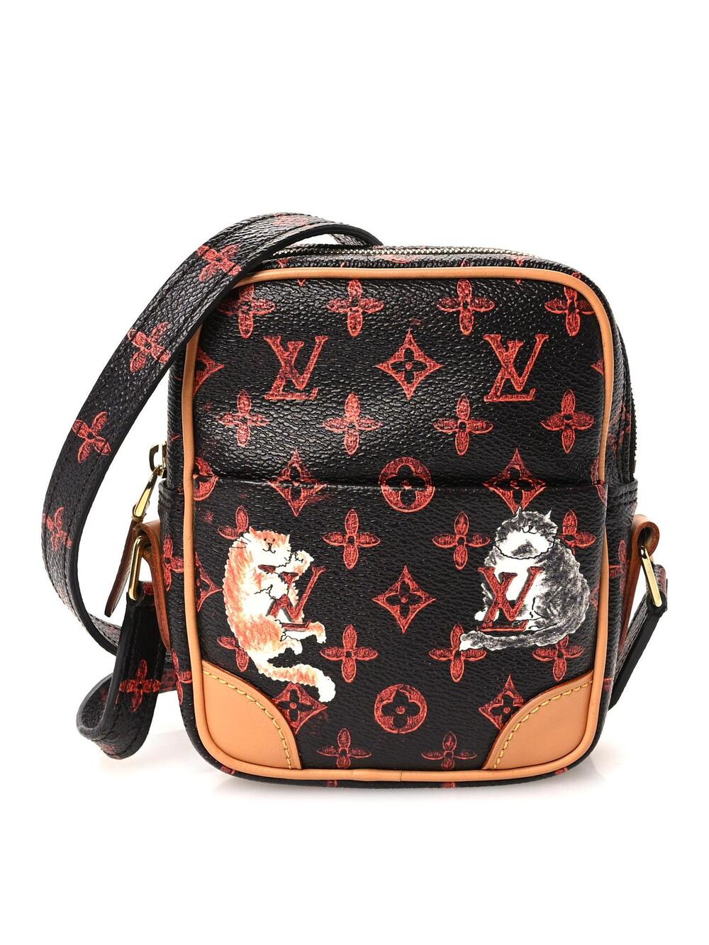 Louis Vuitton Catogram Small Paname #365344L11B